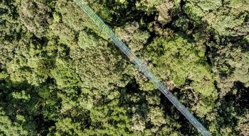 Treetop Walkways Suspension Bridges, Monteverde, Costa Rica